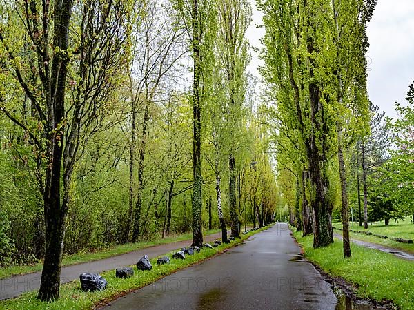 Allee Strandbadstrasse am Mettnaupark