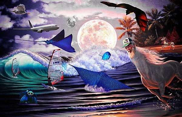 Photomontage with fish
