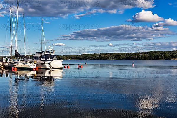 Boats in the marina