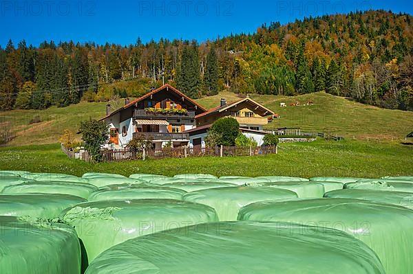 Green hay silo bales and cottages