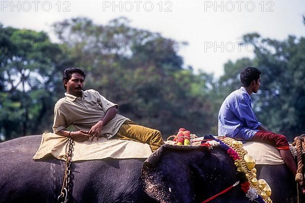 Mahout relaxing on elephant