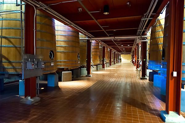 Oak fermentation barrels from the Robert Mondavi Winery