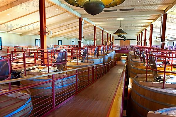 Oak fermentation barrels from the Robert Mondavi Winery