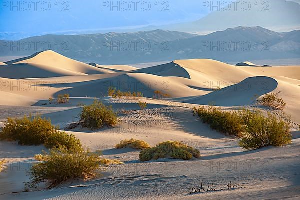 Morning light at the Mesquite Sand Dunes