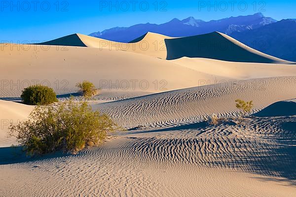 Morning light at the Mesquite Sand Dunes