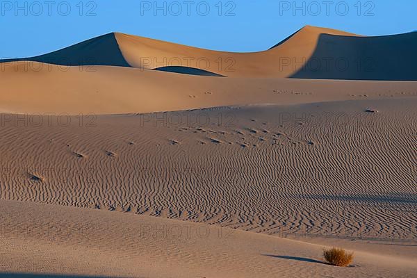 Morning light at the Mesquite Sand Dunes