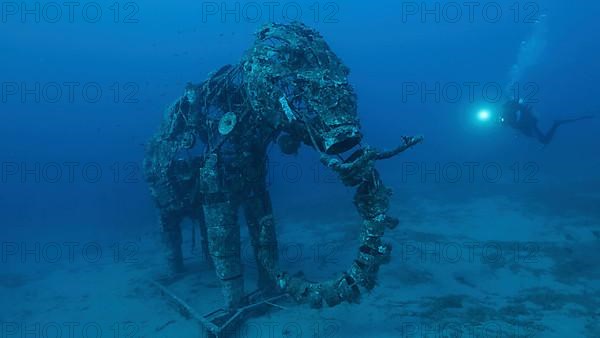 Sculpture of an elephant on the seabed. Lighthouse dive site