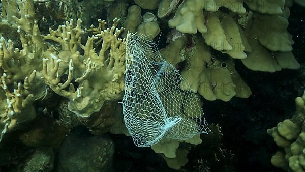Discarded kitchen plastic storage net shopping hang down of coral reef. Plastic pollution of the ocean. Plastic mesh bag hanging on a beautiful coral reef. Red sea