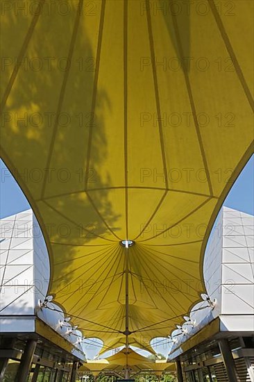 Yellow awning with shadow of a tree