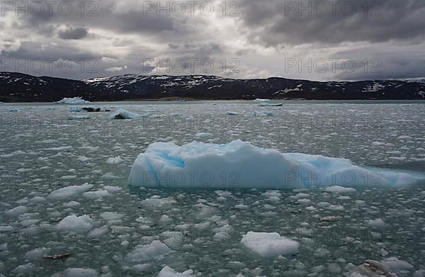 Drift ice near Eqi Glacier