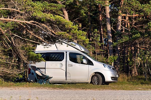 Campervan under pine trees