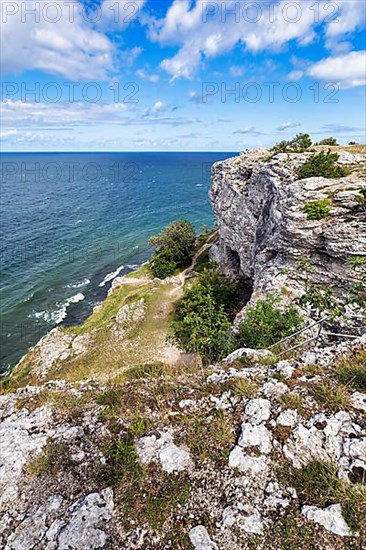 Cliff coast Hoegklint in summer