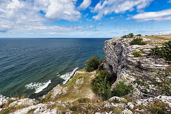 Cliff coast Hoegklint in summer