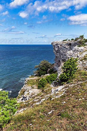 Cliff coast Hoegklint in summer