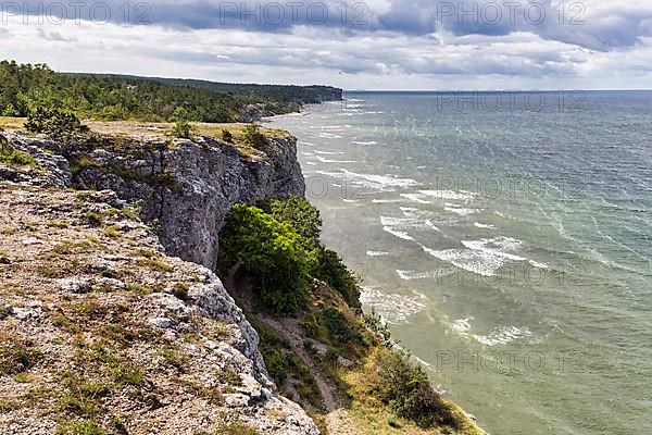 Cliff coast Hoegklint in summer