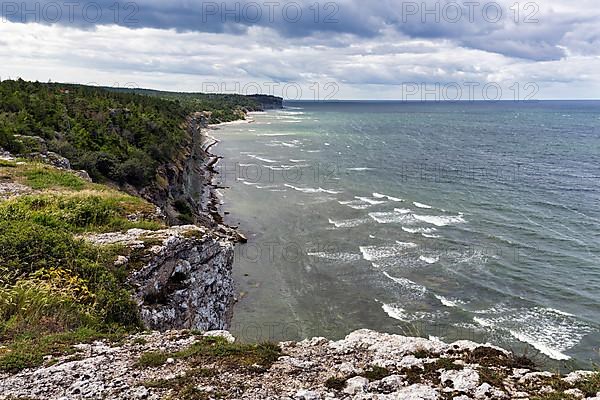 Cliff coast Hoegklint in summer