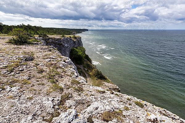 Cliff coast Hoegklint in summer