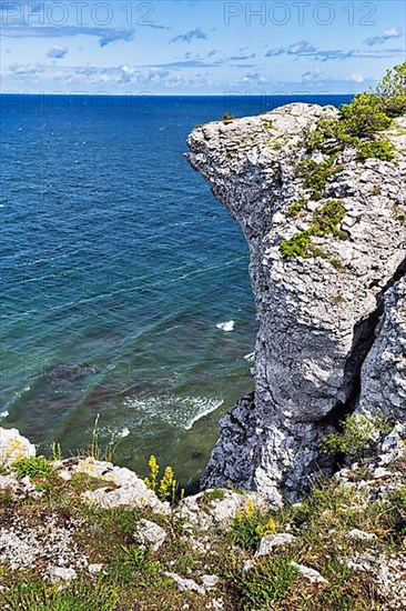 Cliff coast Hoegklint in summer