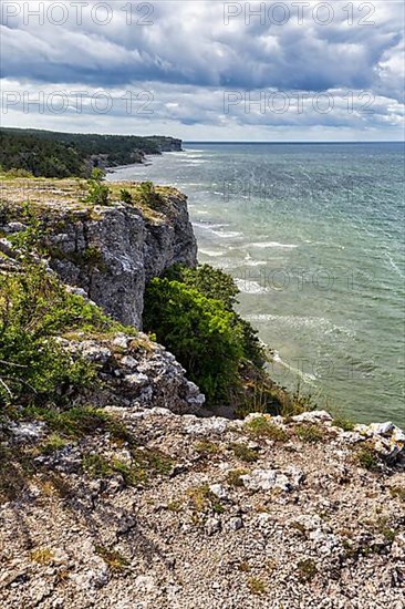 Cliff coast Hoegklint in summer