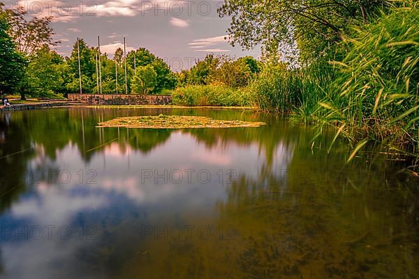 Long exposure of the pond in the Park of the Senses with a carpet of water lilies