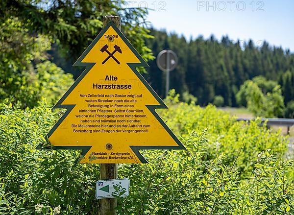 Sign in the shape of a fir tree on the Old Harz Road between Zellerfeld and Goslar