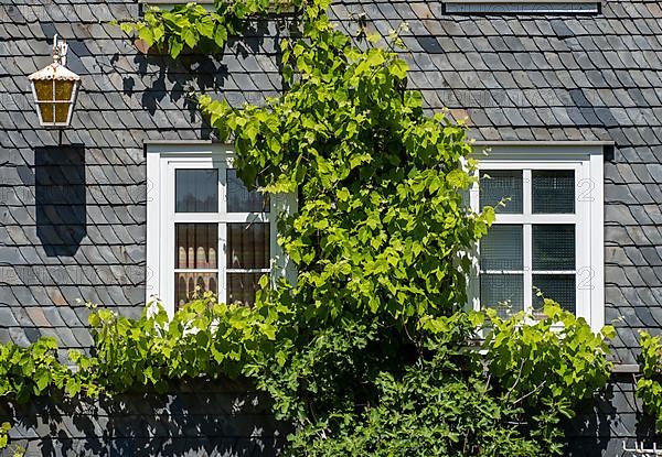 Facade covered with slate shingles of a former restaurant at the Auerhahnteich