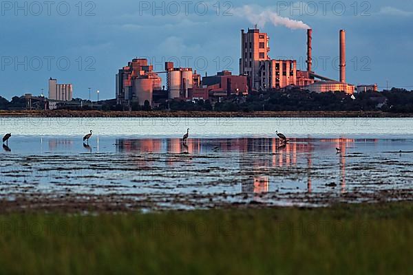 Cement plant Cementa