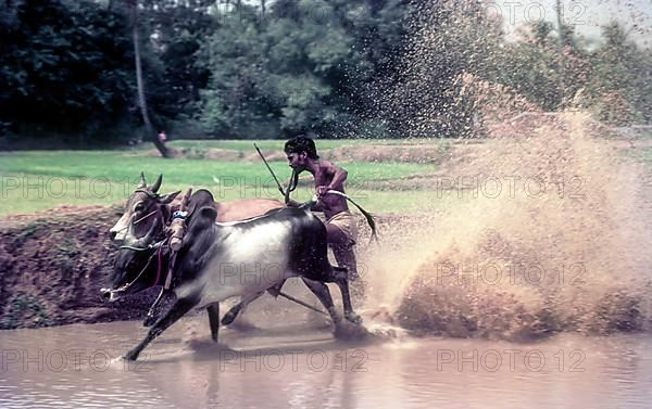 A jockey