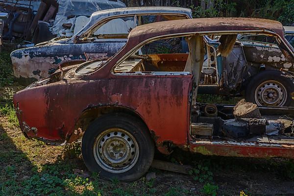 Old cars rolled for scrapping in a meadow. Alsace