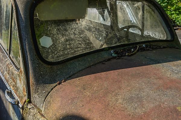 Old car rolled for scrapping in a meadow. Alsace