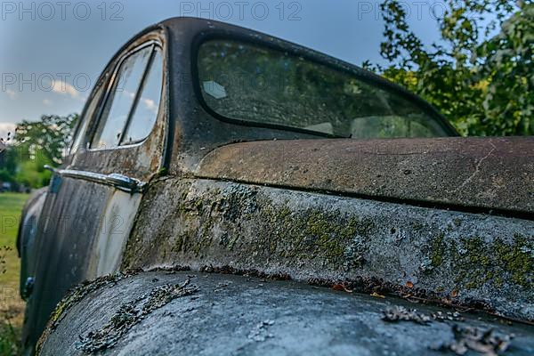 Old car rolled for scrapping in a meadow. Alsace