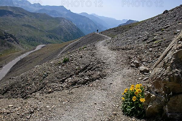 Footpath from left highest paved road in the Alps at 2862 metres high Cime de la Bonette