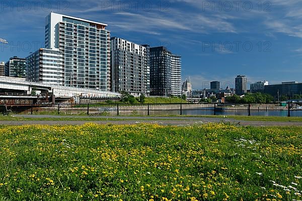 Modern apartment buildings