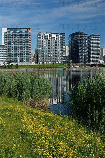 Modern apartment buildings