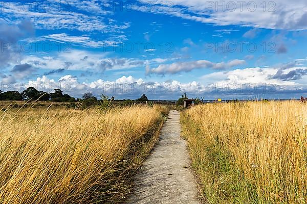 Hiking trail to Furilden nature reserve and bird sanctuary in summer