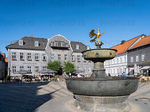 Golden eagle on the market fountain in front of the Kaiserringhaus with slate facade