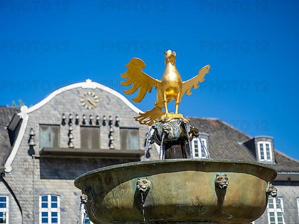 Golden eagle on the market fountain in front of the Kaiserringhaus on the market square