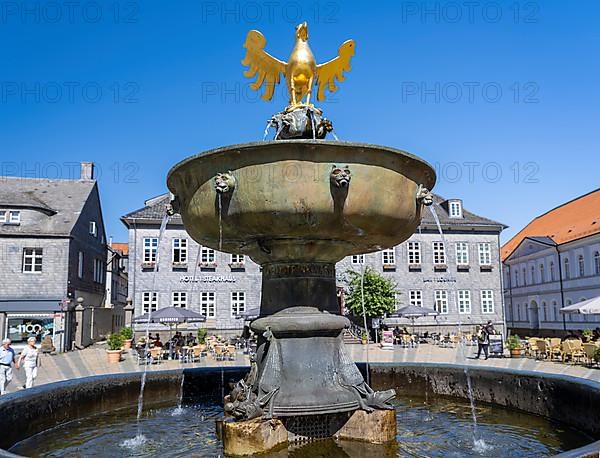 Golden eagle on the market fountain in front of the Kaiserringhaus on the market square