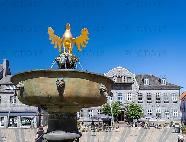 Golden eagle on the market fountain in front of the Kaiserringhaus on the market square