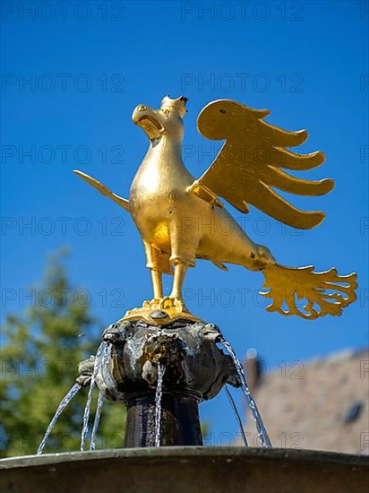 Golden eagle on the market fountain on the market square