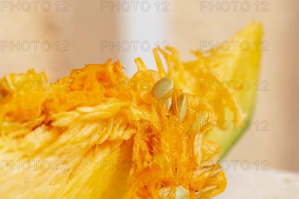 Macro shot of sliced pumpkin with pulp and seeds