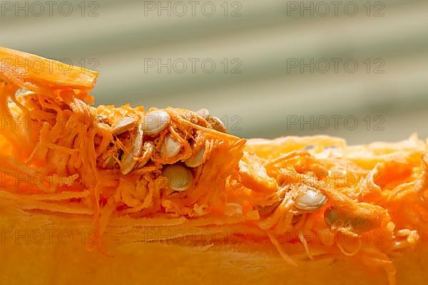 Macro shot of sliced pumpkin with pulp and seeds