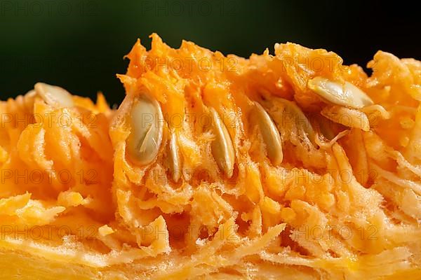 Macro shot of sliced pumpkin with pulp and seeds