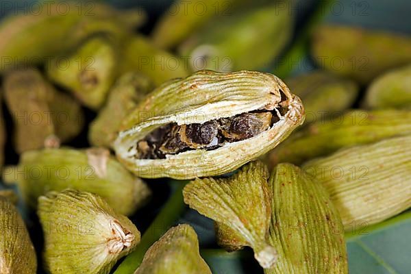 Cut open pod of green cardamom