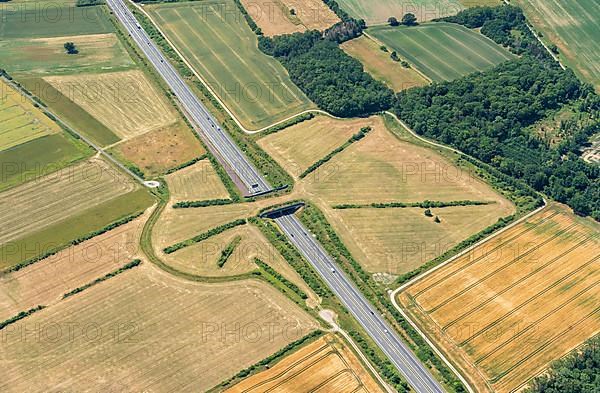 Aerial view of the A39 Wild Bridge near Braunschweig