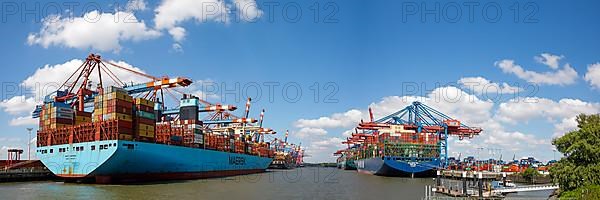 Container ships at container terminals Eurogate