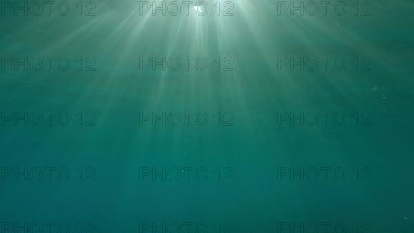 Sunrays penetrate through the surface of the water. Underwater light creates a beautiful veil