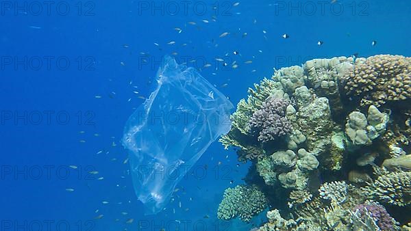 Plastic pollution of the Ocean