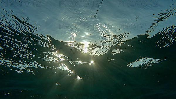 Sunrays penetrate through the surface of the water. Underwater light creates a beautiful veil