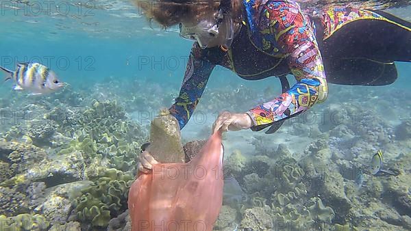 Woman in diving equipment swims and collects plastic debris underwater on the bottom of coral reef. Snorkeler cleaning Ocean from plastic pollution. Plastic pollution of the Ocean. Red sea